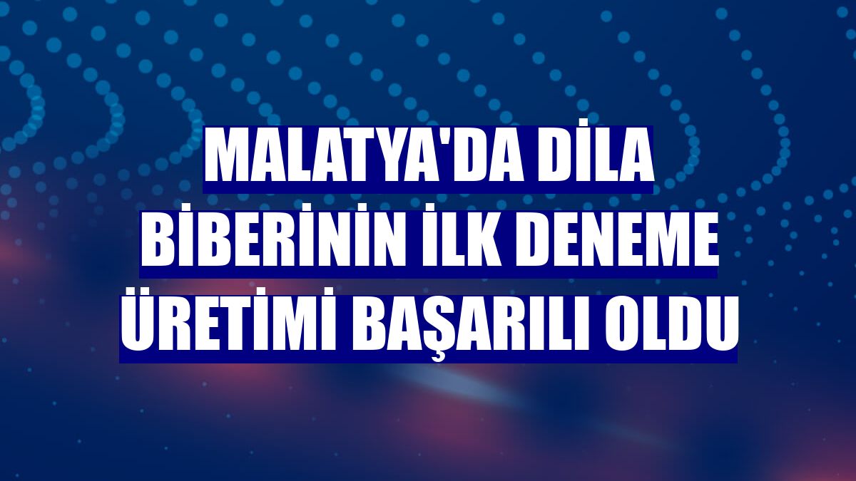 Malatya'da dila biberinin ilk deneme üretimi başarılı oldu