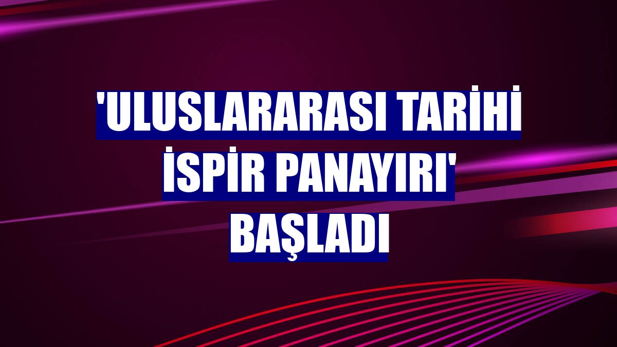 'Uluslararası Tarihi İspir Panayırı' başladı