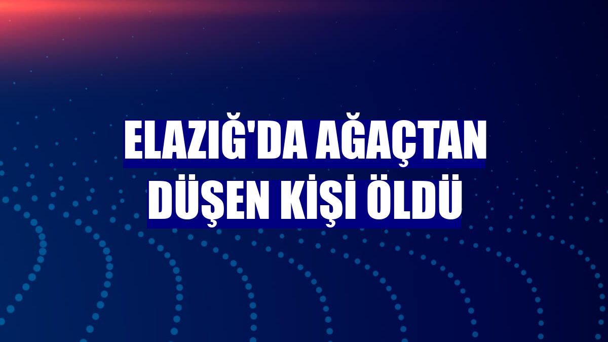 Elazığ'da ağaçtan düşen kişi öldü