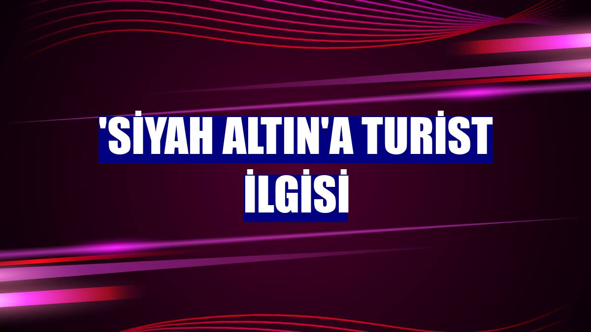 'Siyah altın'a turist ilgisi