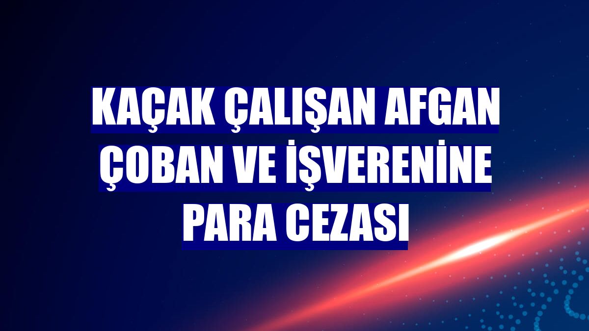 Kaçak çalışan Afgan çoban ve işverenine para cezası
