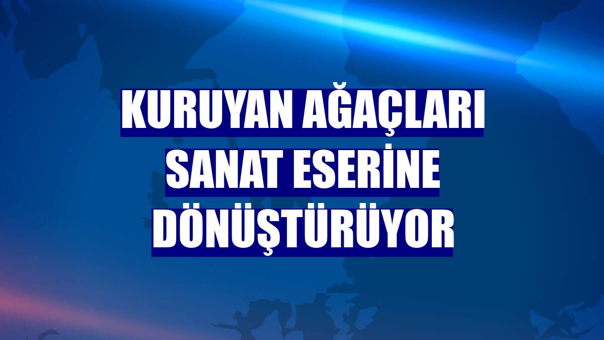 Kuruyan ağaçları sanat eserine dönüştürüyor