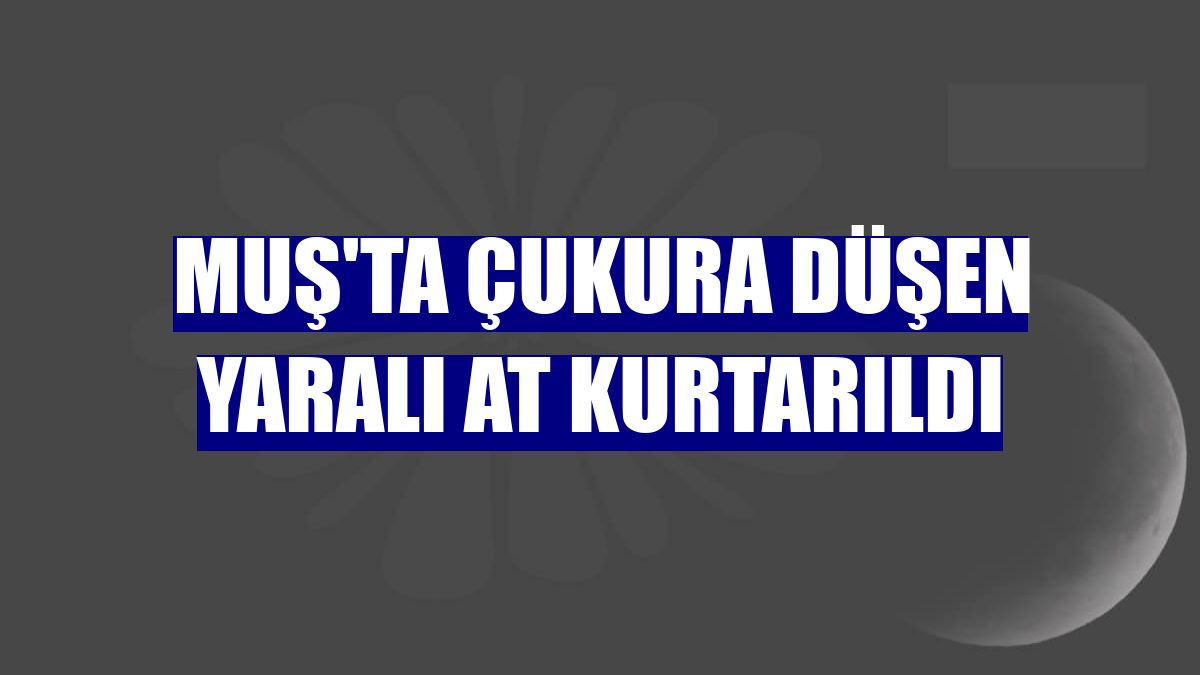 Muş'ta çukura düşen yaralı at kurtarıldı