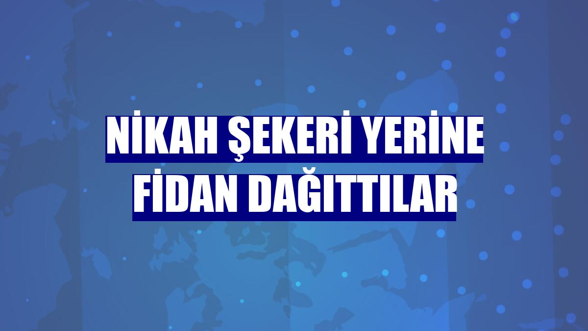 Nikah şekeri yerine fidan dağıttılar