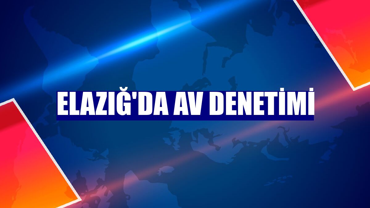 Elazığ'da av denetimi