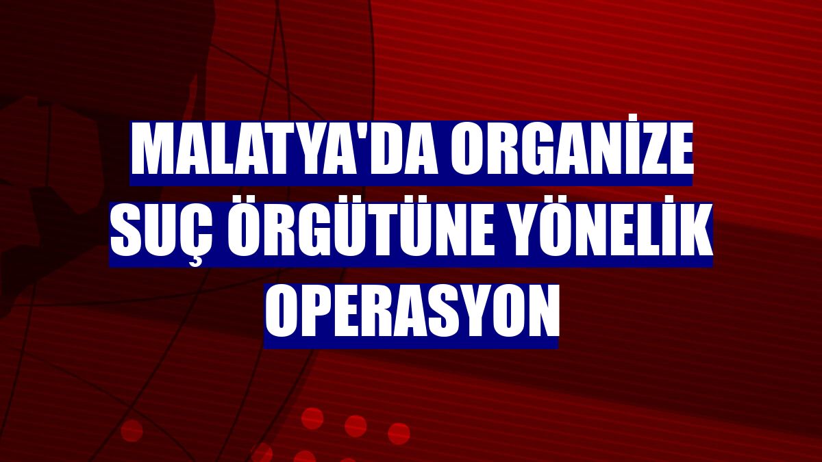 Malatya'da organize suç örgütüne yönelik operasyon
