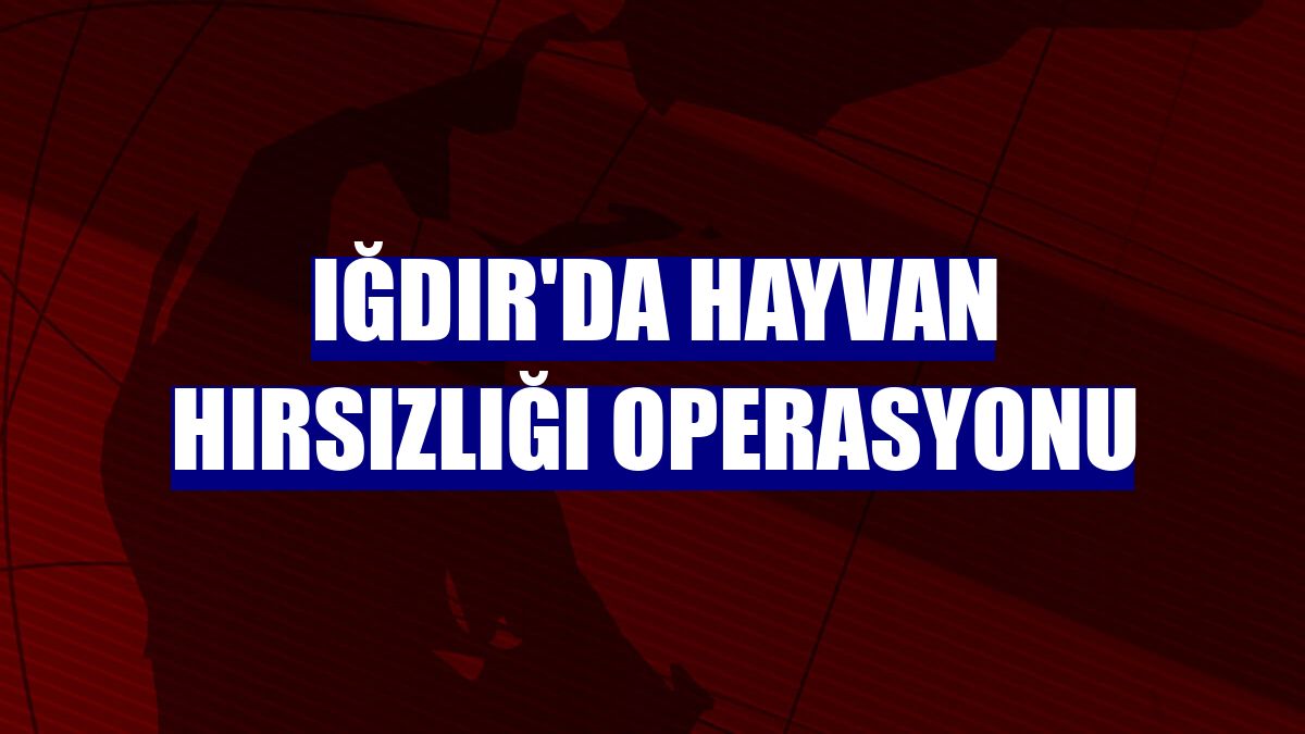 Iğdır'da hayvan hırsızlığı operasyonu