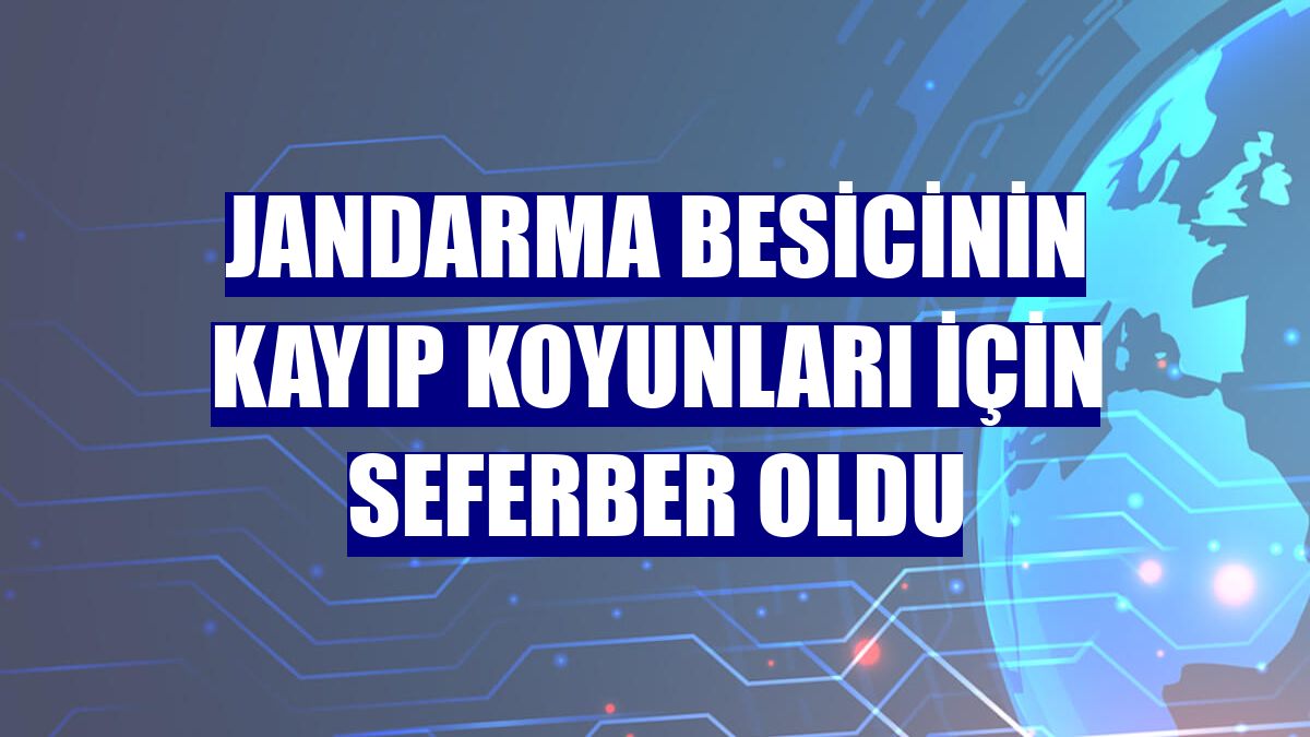 Jandarma besicinin kayıp koyunları için seferber oldu