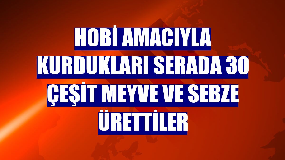 Hobi amacıyla kurdukları serada 30 çeşit meyve ve sebze ürettiler