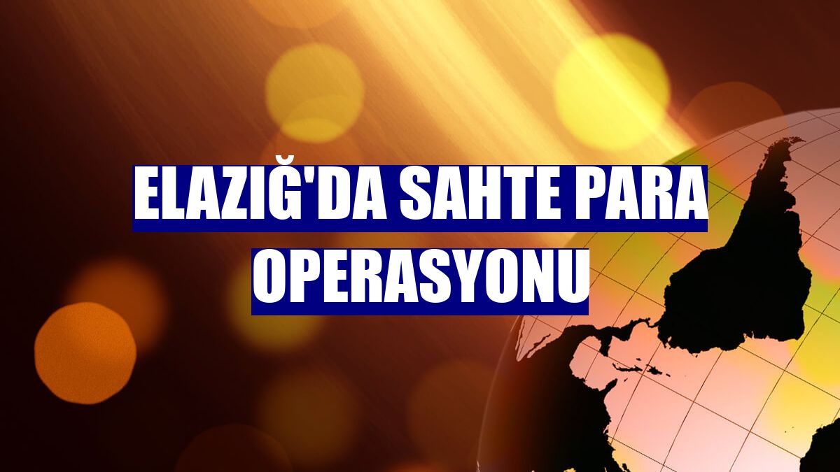 Elazığ'da sahte para operasyonu