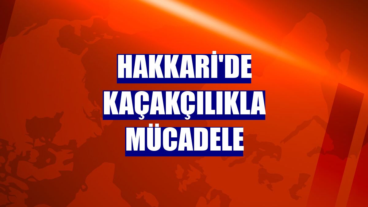 Hakkari'de kaçakçılıkla mücadele