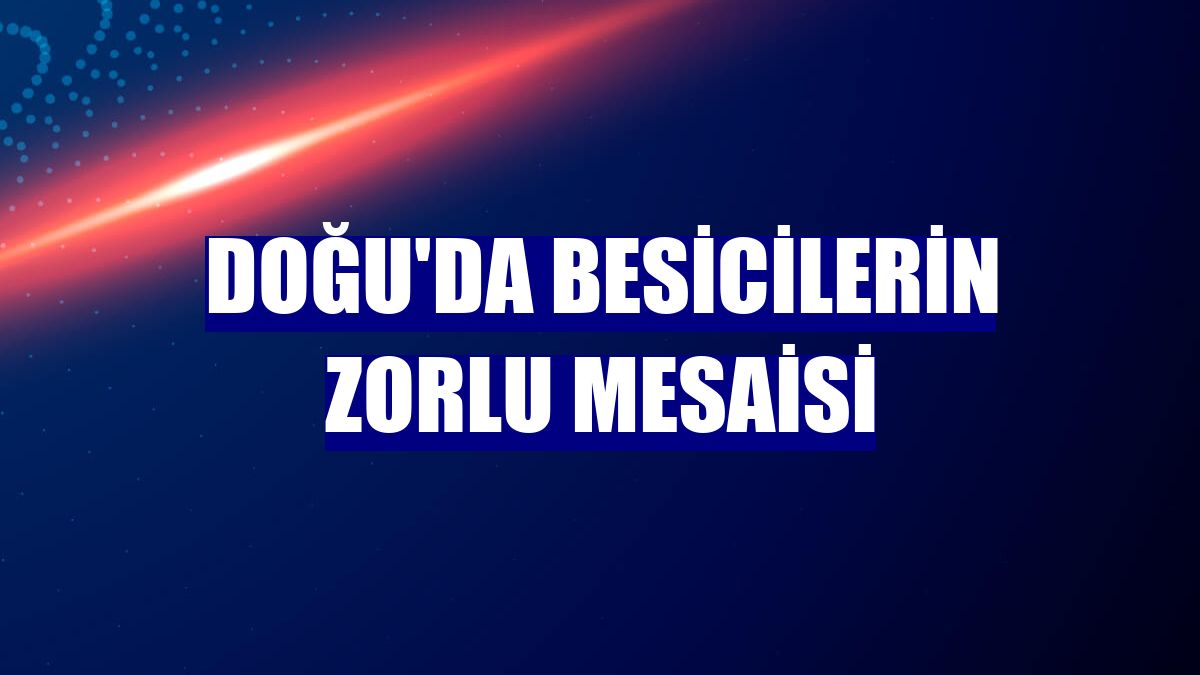 Doğu'da besicilerin zorlu mesaisi