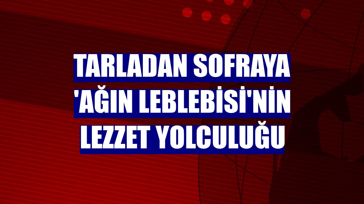 Tarladan sofraya 'Ağın leblebisi'nin lezzet yolculuğu