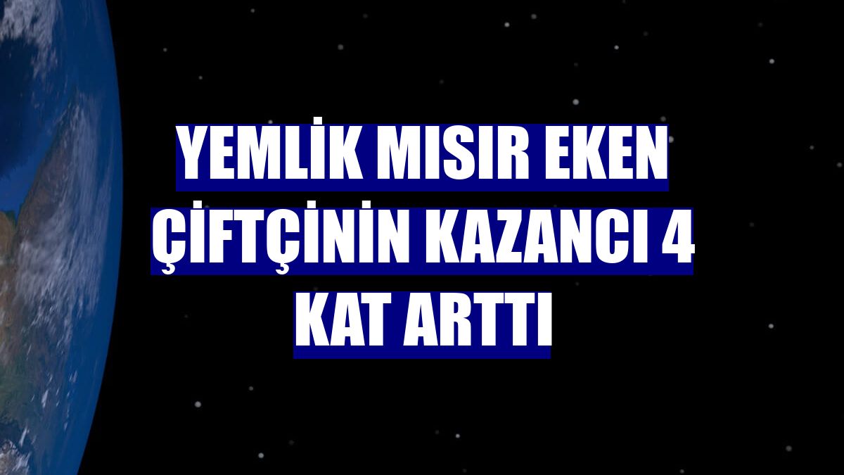 Yemlik mısır eken çiftçinin kazancı 4 kat arttı