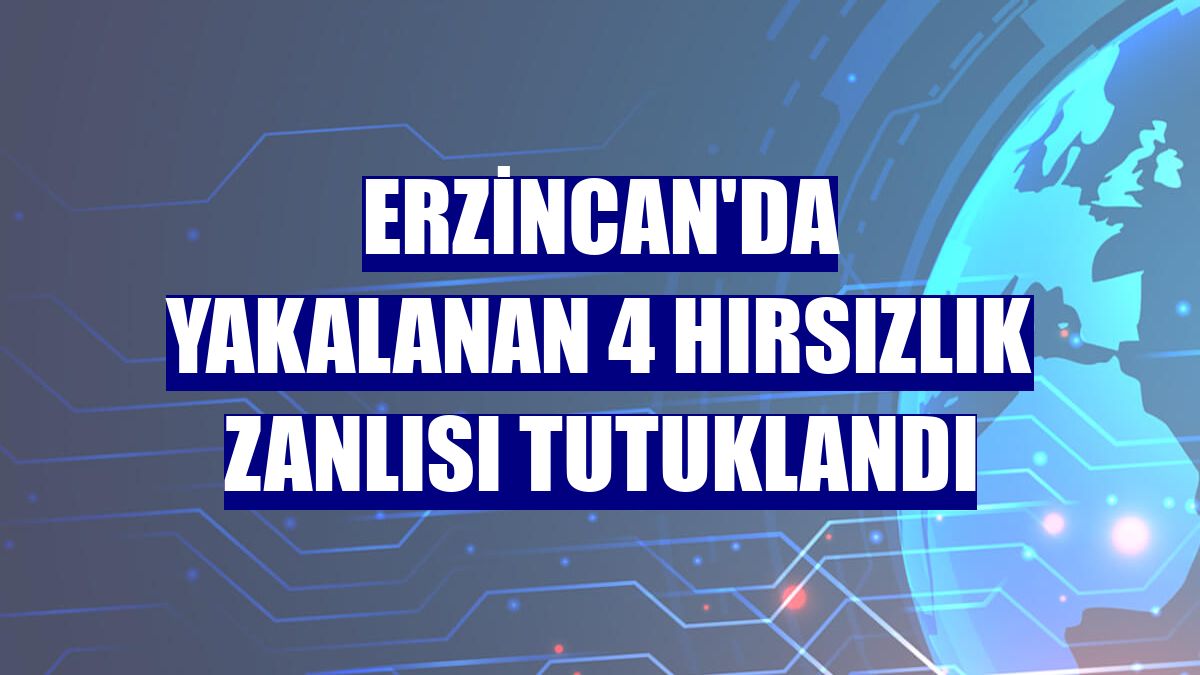 Erzincan'da yakalanan 4 hırsızlık zanlısı tutuklandı
