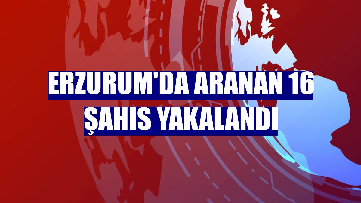 Erzurum'da aranan 16 şahıs yakalandı