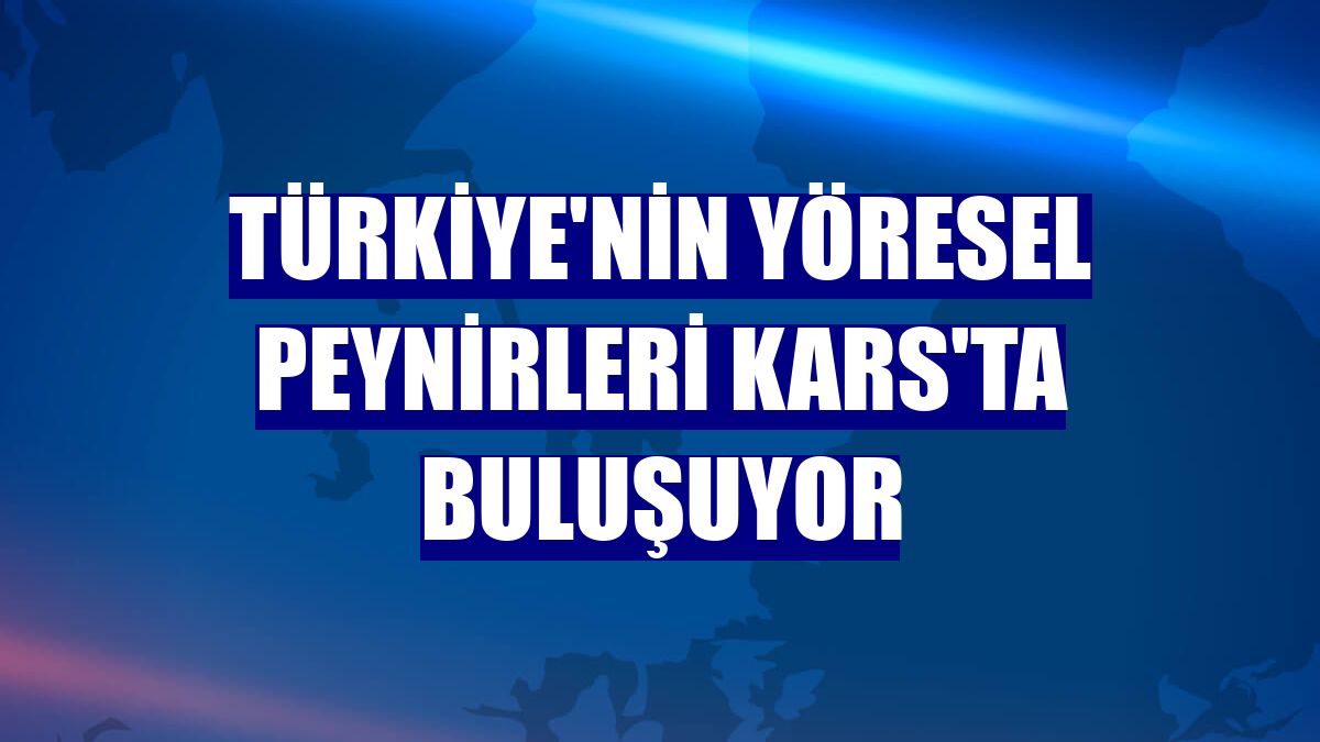 Türkiye'nin yöresel peynirleri Kars'ta buluşuyor