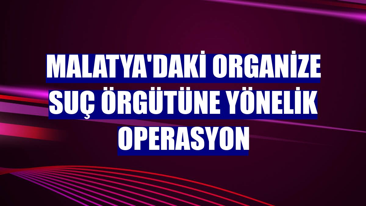 Malatya'daki organize suç örgütüne yönelik operasyon