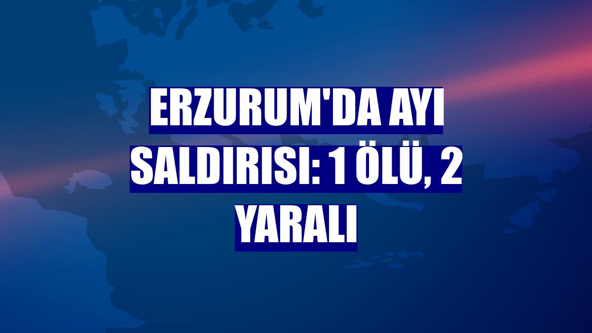 Erzurum'da ayı saldırısı: 1 ölü, 2 yaralı