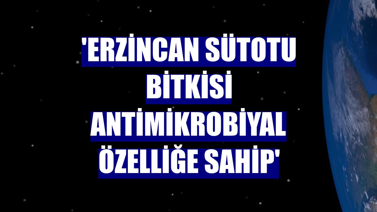'Erzincan Sütotu bitkisi antimikrobiyal özelliğe sahip'