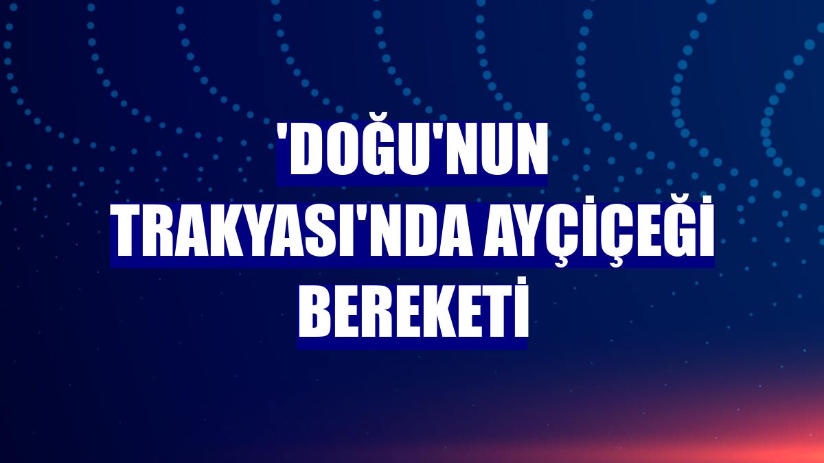 'Doğu'nun Trakyası'nda ayçiçeği bereketi