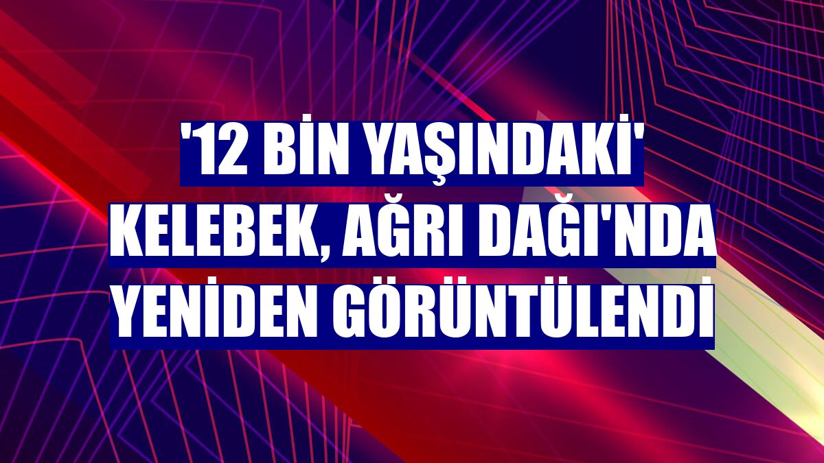 '12 bin yaşındaki' kelebek, Ağrı Dağı'nda yeniden görüntülendi
