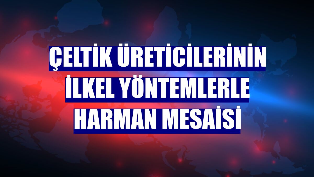 Çeltik üreticilerinin ilkel yöntemlerle harman mesaisi