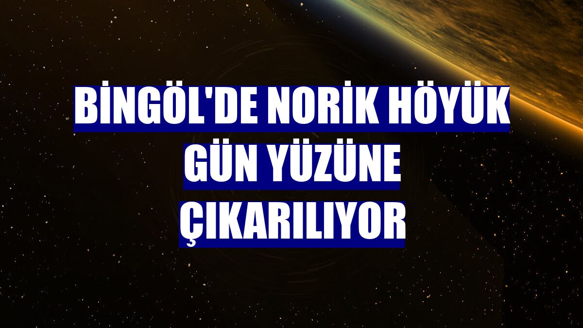 Bingöl'de Norik Höyük gün yüzüne çıkarılıyor