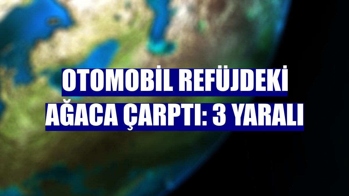 Otomobil refüjdeki ağaca çarptı: 3 yaralı