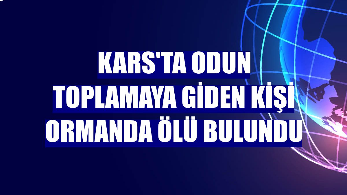 Kars'ta odun toplamaya giden kişi ormanda ölü bulundu