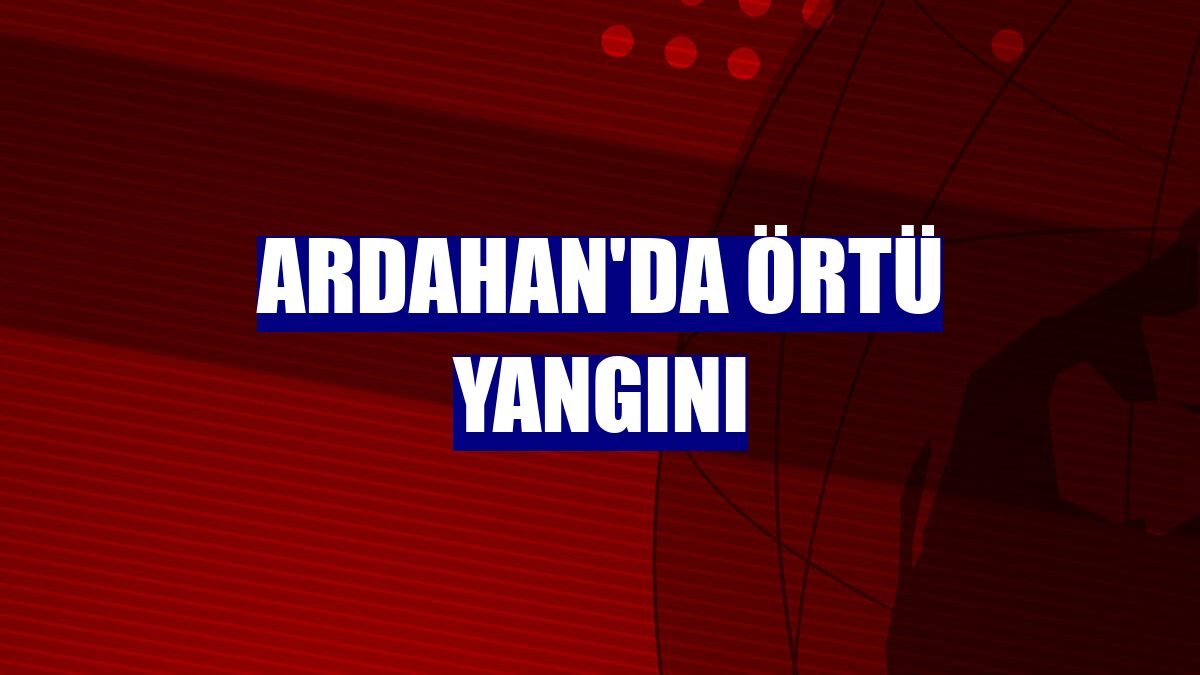 Ardahan'da örtü yangını