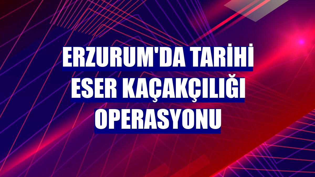 Erzurum'da tarihi eser kaçakçılığı operasyonu