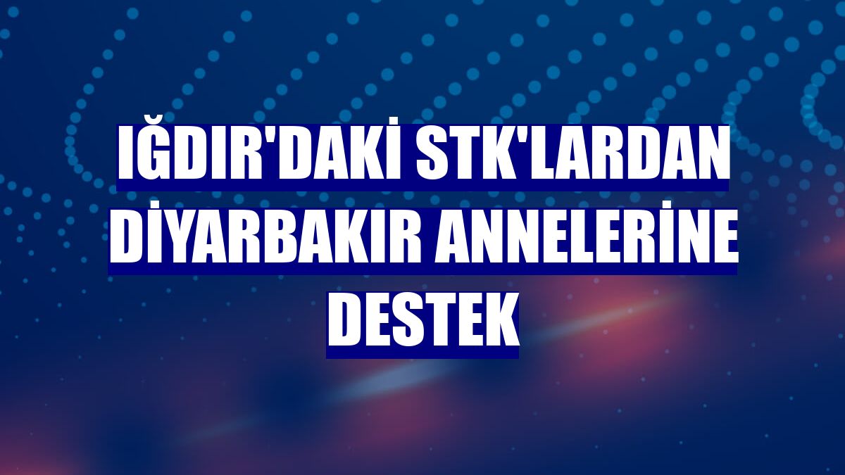 Iğdır'daki STK'lardan Diyarbakır annelerine destek