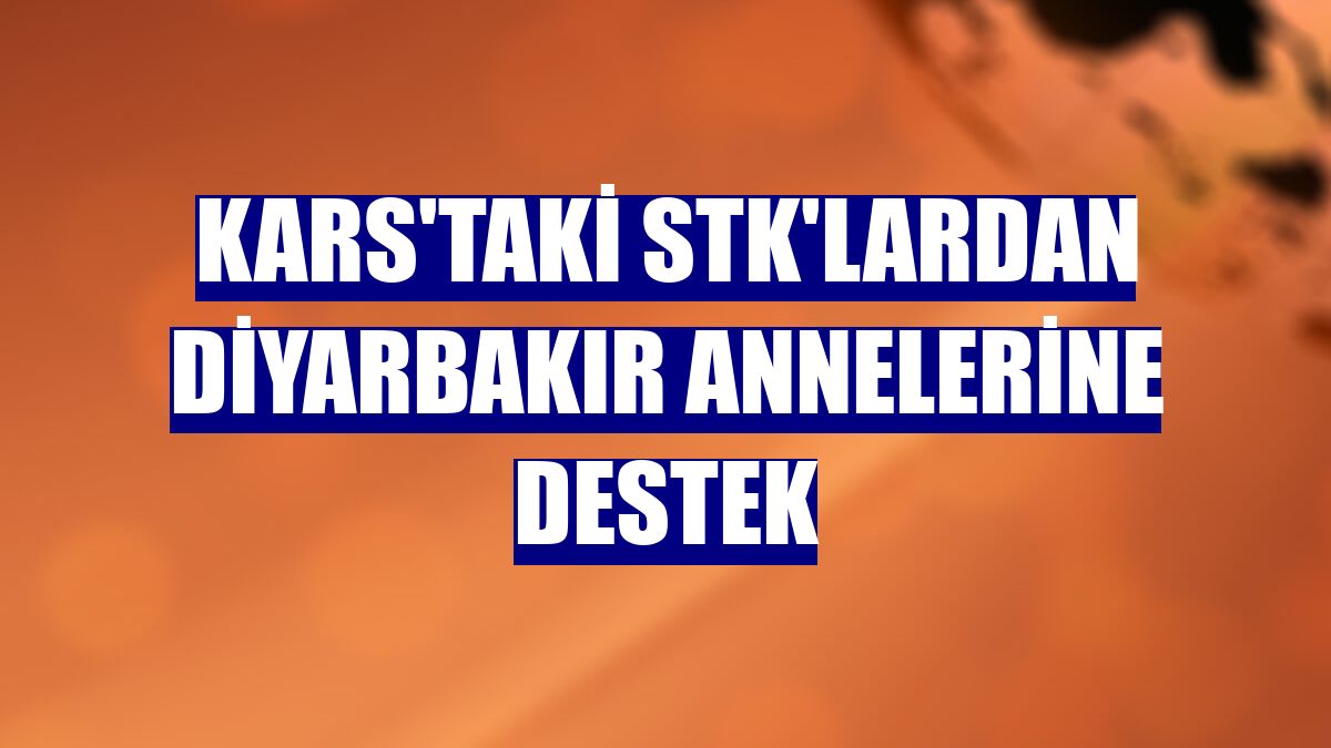 Kars'taki STK'lardan Diyarbakır annelerine destek