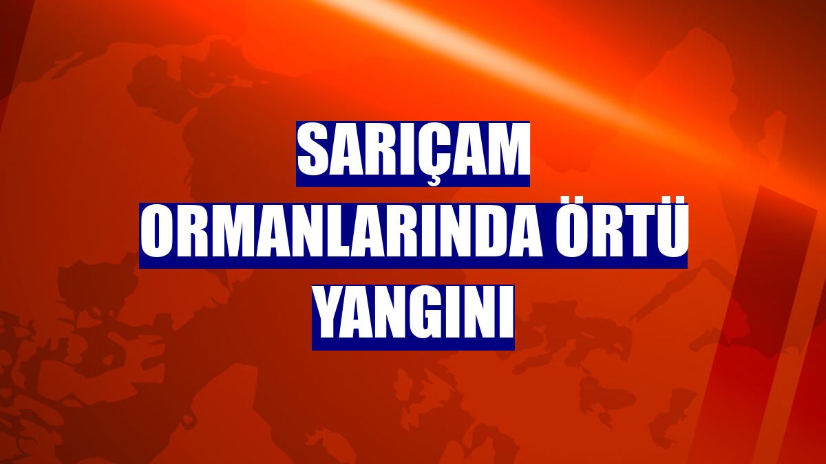 Sarıçam ormanlarında örtü yangını