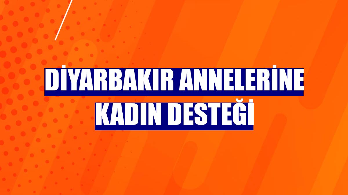 Diyarbakır annelerine kadın desteği