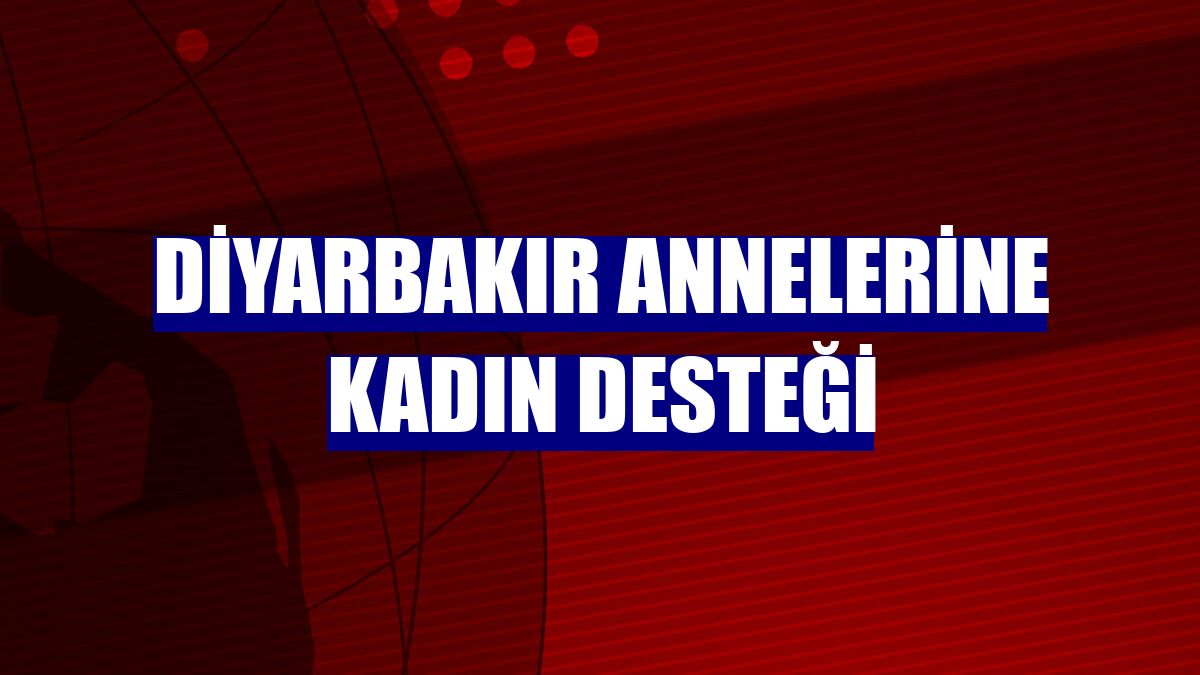 Diyarbakır annelerine kadın desteği