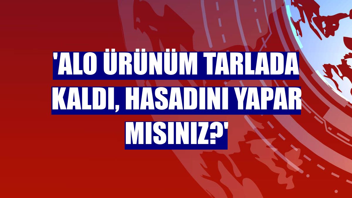 'Alo ürünüm tarlada kaldı, hasadını yapar mısınız?'