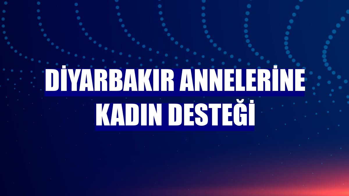Diyarbakır annelerine kadın desteği