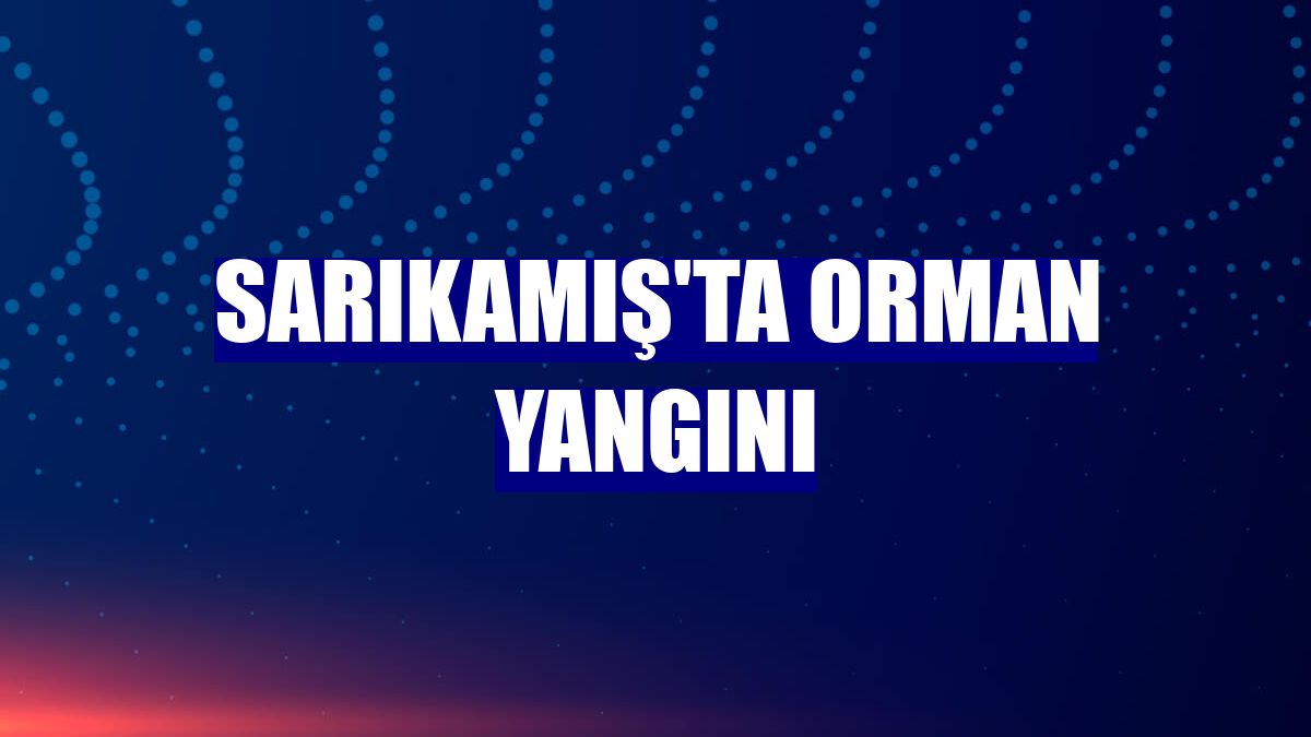 Sarıkamış'ta orman yangını