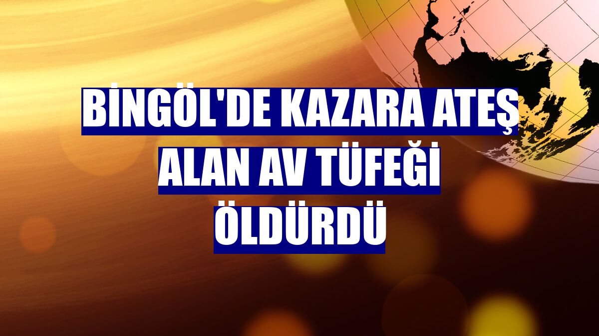 Bingöl'de kazara ateş alan av tüfeği öldürdü