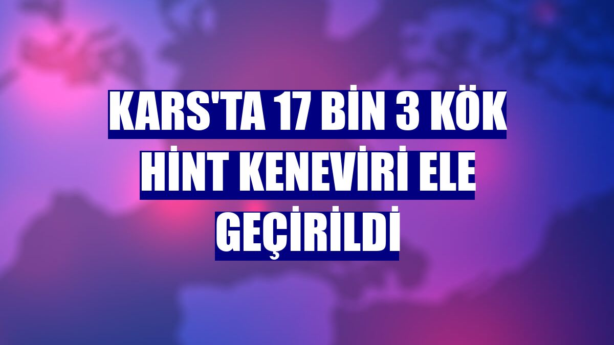 Kars'ta 17 bin 3 kök Hint keneviri ele geçirildi