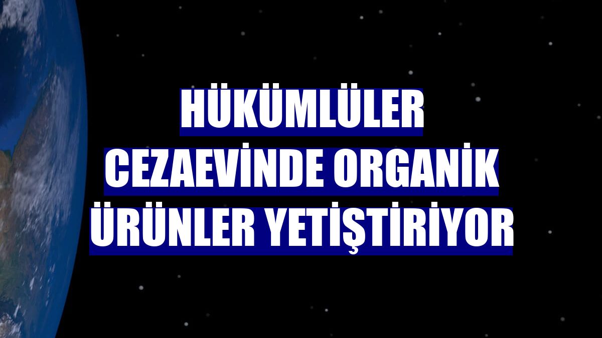 Hükümlüler cezaevinde organik ürünler yetiştiriyor
