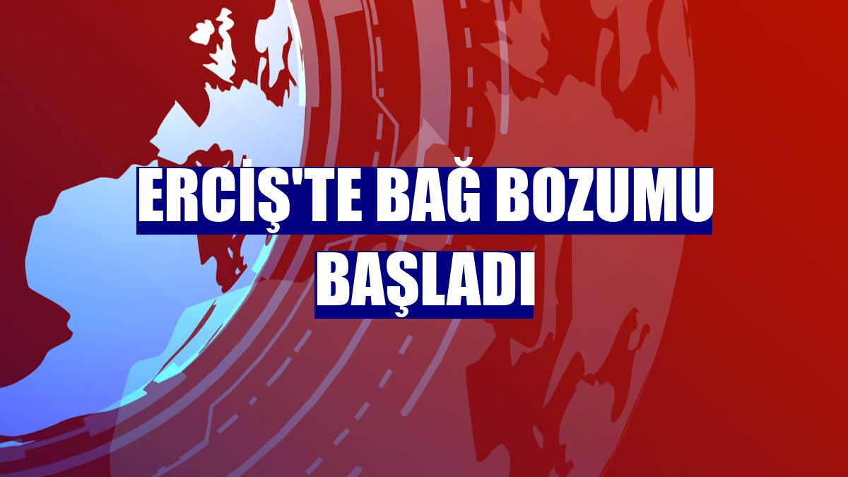 Erciş'te bağ bozumu başladı