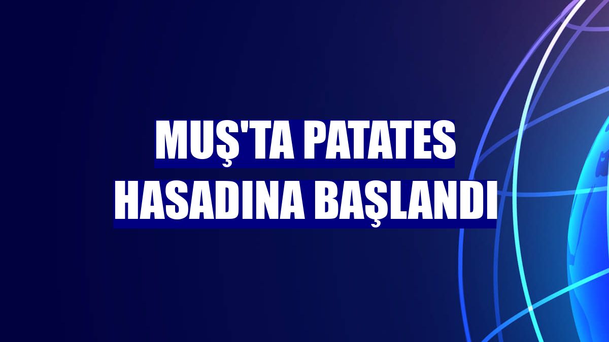 Muş'ta patates hasadına başlandı