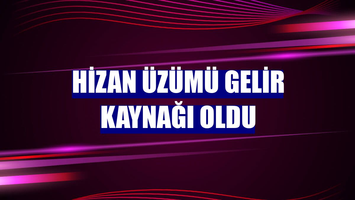 Hizan üzümü gelir kaynağı oldu