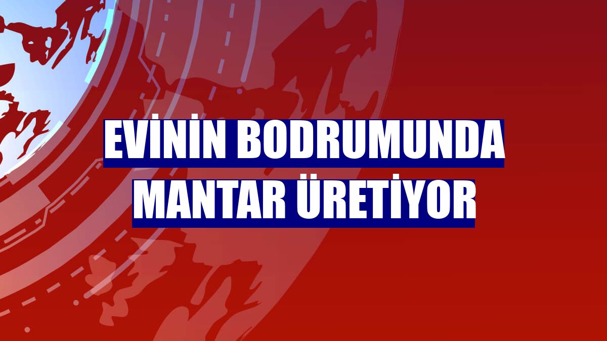 Evinin bodrumunda mantar üretiyor