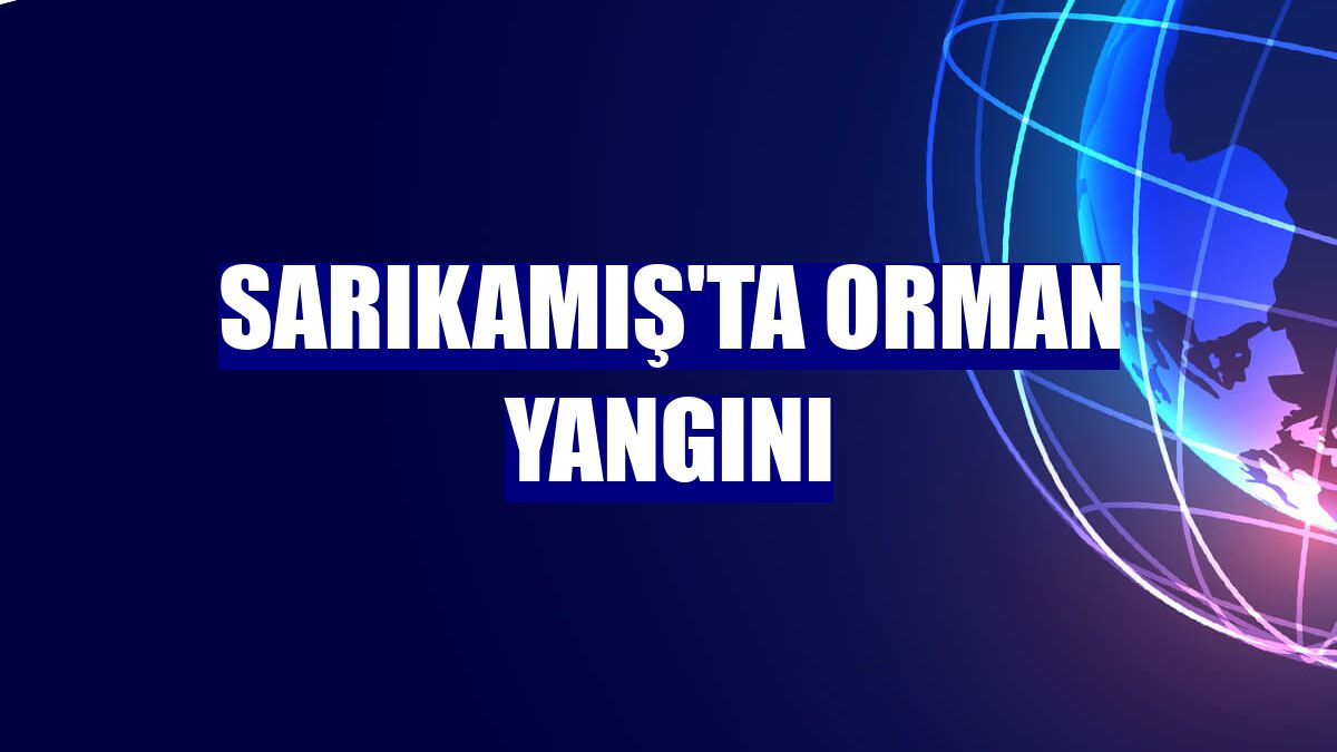 Sarıkamış'ta orman yangını