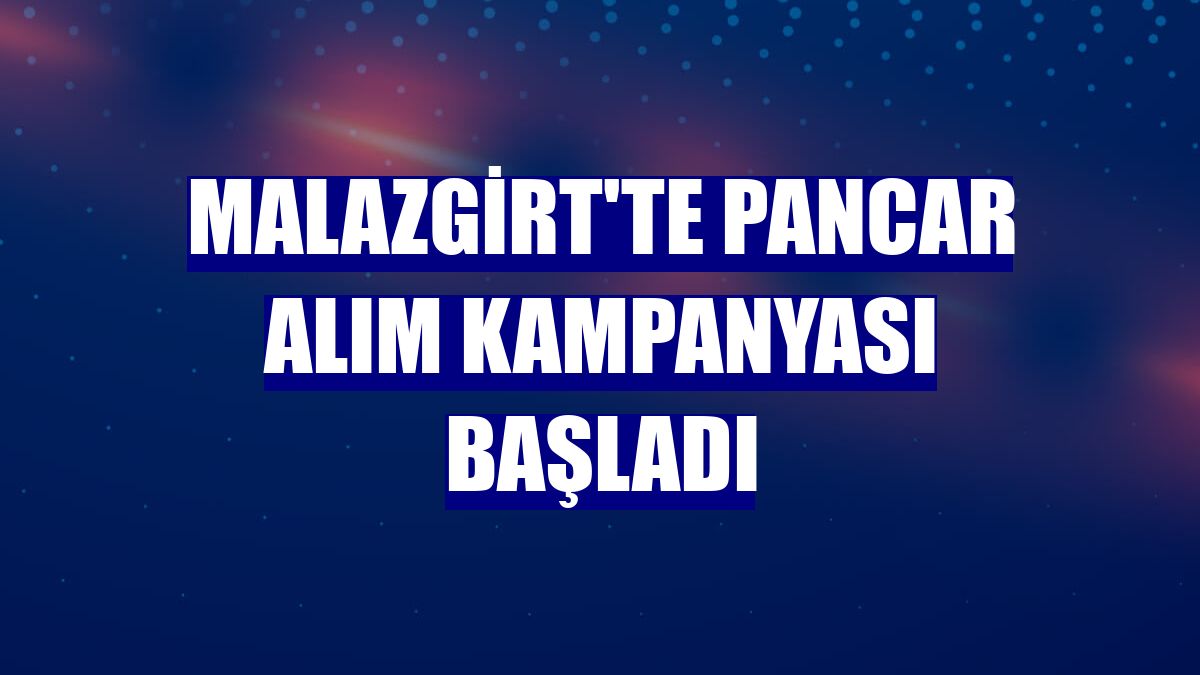 Malazgirt'te pancar alım kampanyası başladı