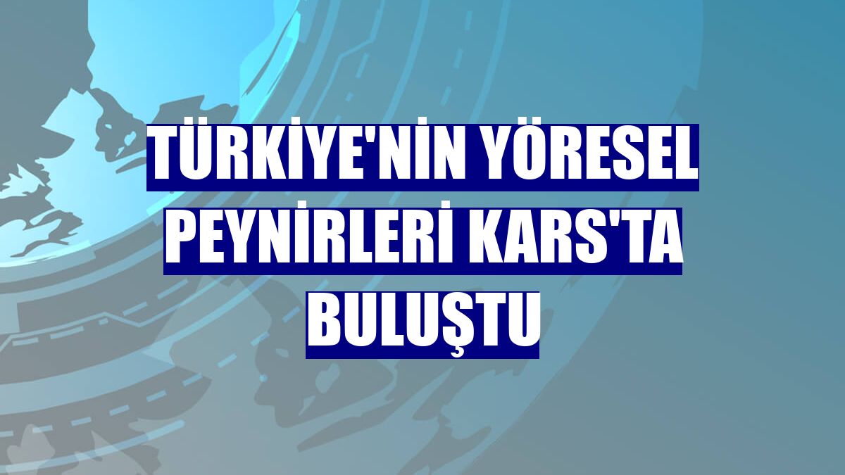 Türkiye'nin yöresel peynirleri Kars'ta buluştu